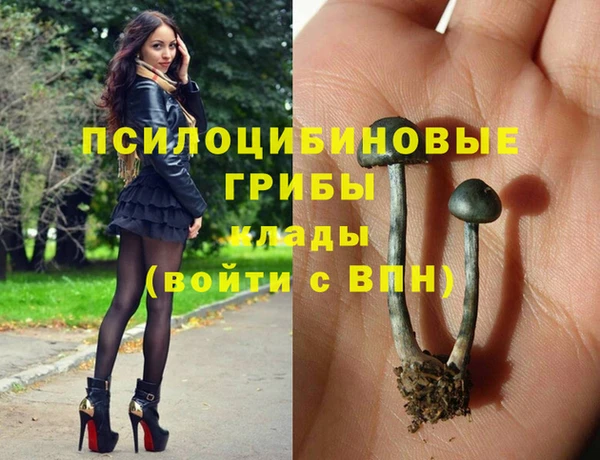стафф Алексеевка