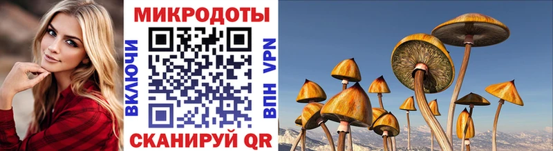 Псилоцибиновые грибы GOLDEN TEACHER  что такое наркотик  Кизел 